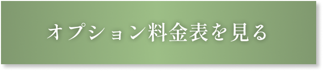 オプション料金表