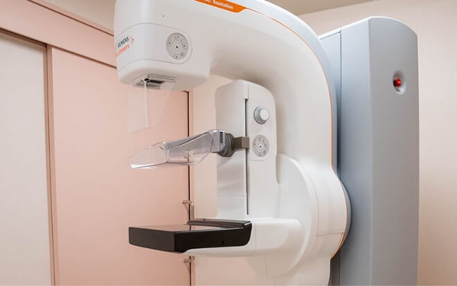 レディースドック