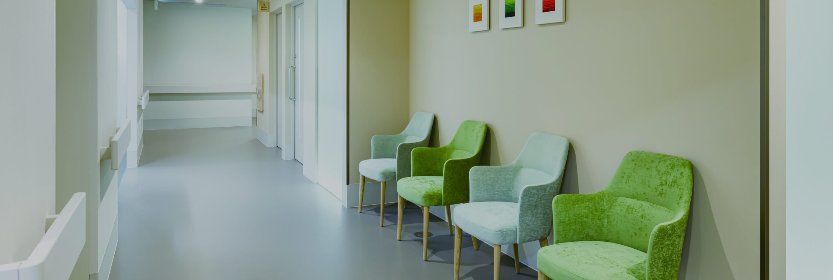 上部内視鏡検査（胃カメラ）