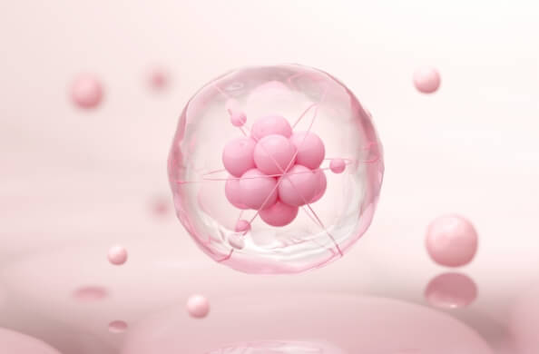 期待できる主な効果