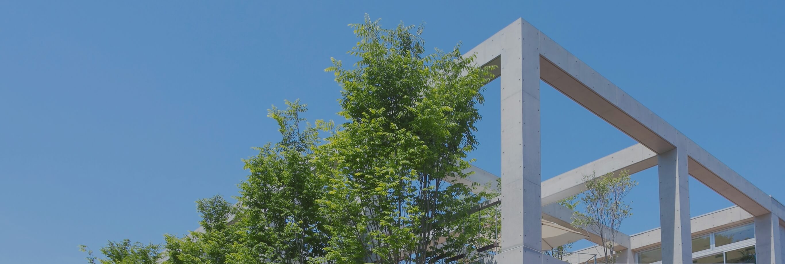 医師のご紹介