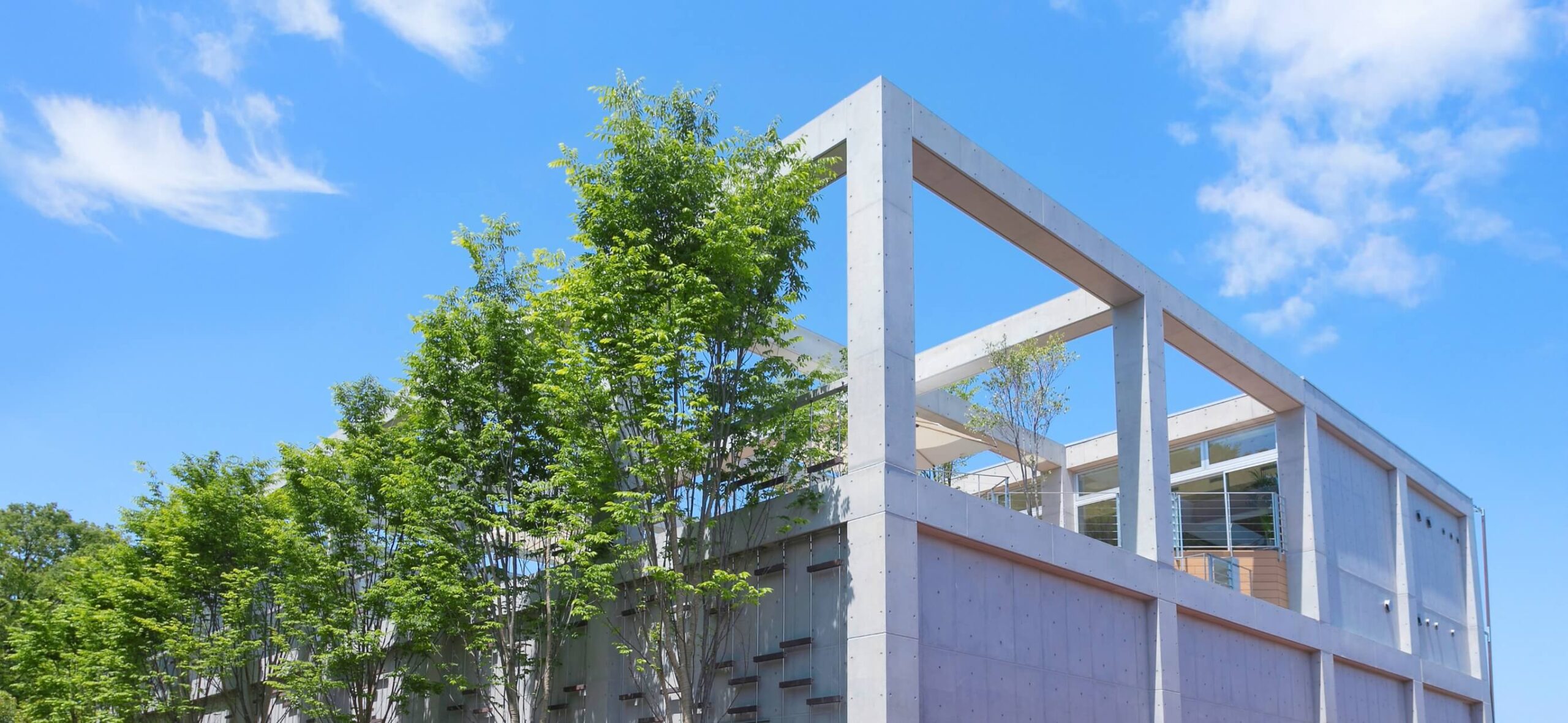 医療法人社団NIDC セントラルクリニック世田谷